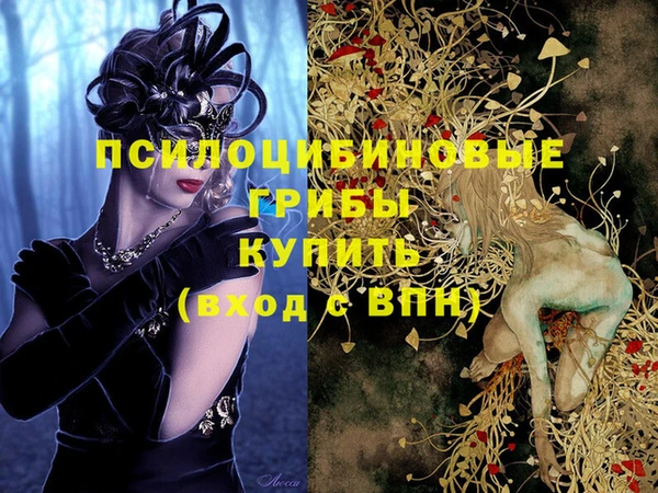 мдпв Волосово